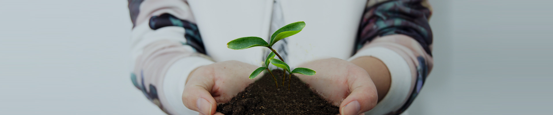 关于九游老哥俱乐部